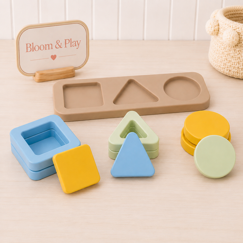 Shape Matching Montessori Toy